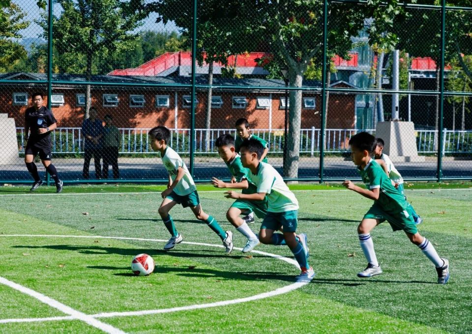 VuLvd, src, OB VuLvd, src, OB