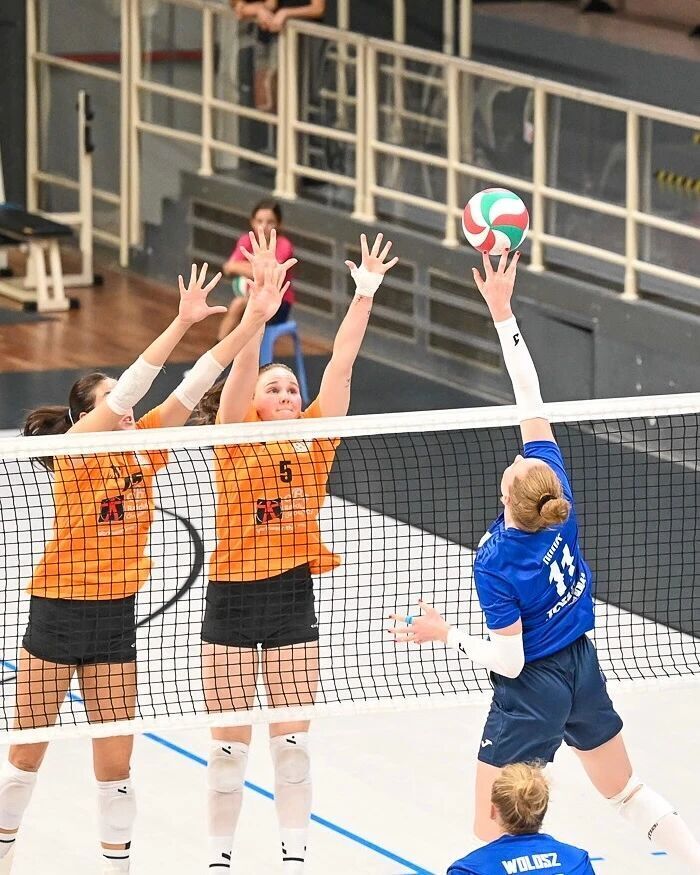 容首发, 劲旅科内利 容首发, 劲旅科内利