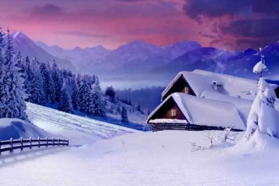 战术分析获 战术分析获