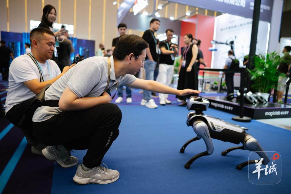 vY, 推出体育用 vY, 推出体育用