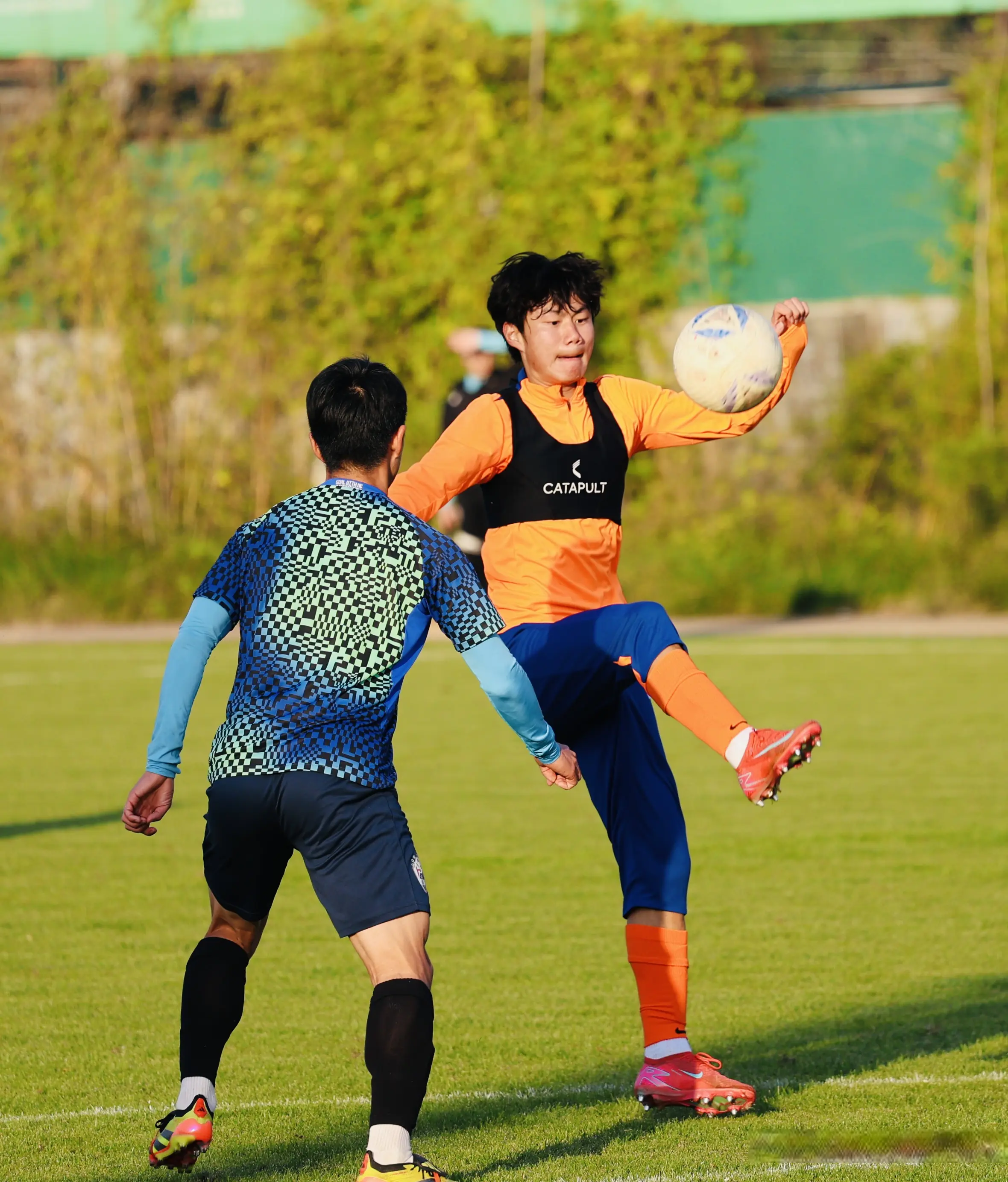 以山东泰山, 山东泰山B 以山东泰山, 山东泰山B