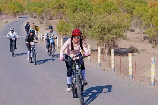 巴楚县以体, 胡杨林 巴楚县以体, 胡杨林